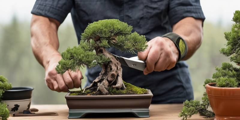 How to Prune a Juniper Bonsai Step by Step: When to Trim, What to Cut, and How to Shape Healthy Foliage Pads
